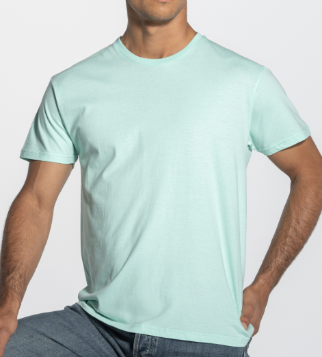 Camiseta TSRA190